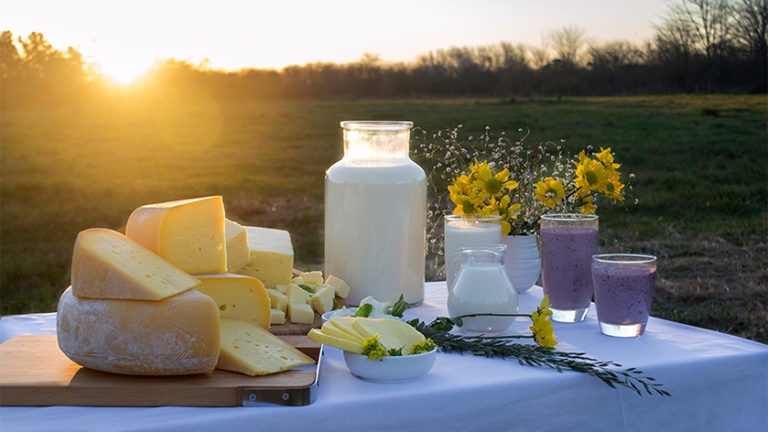 la choza productos organicos